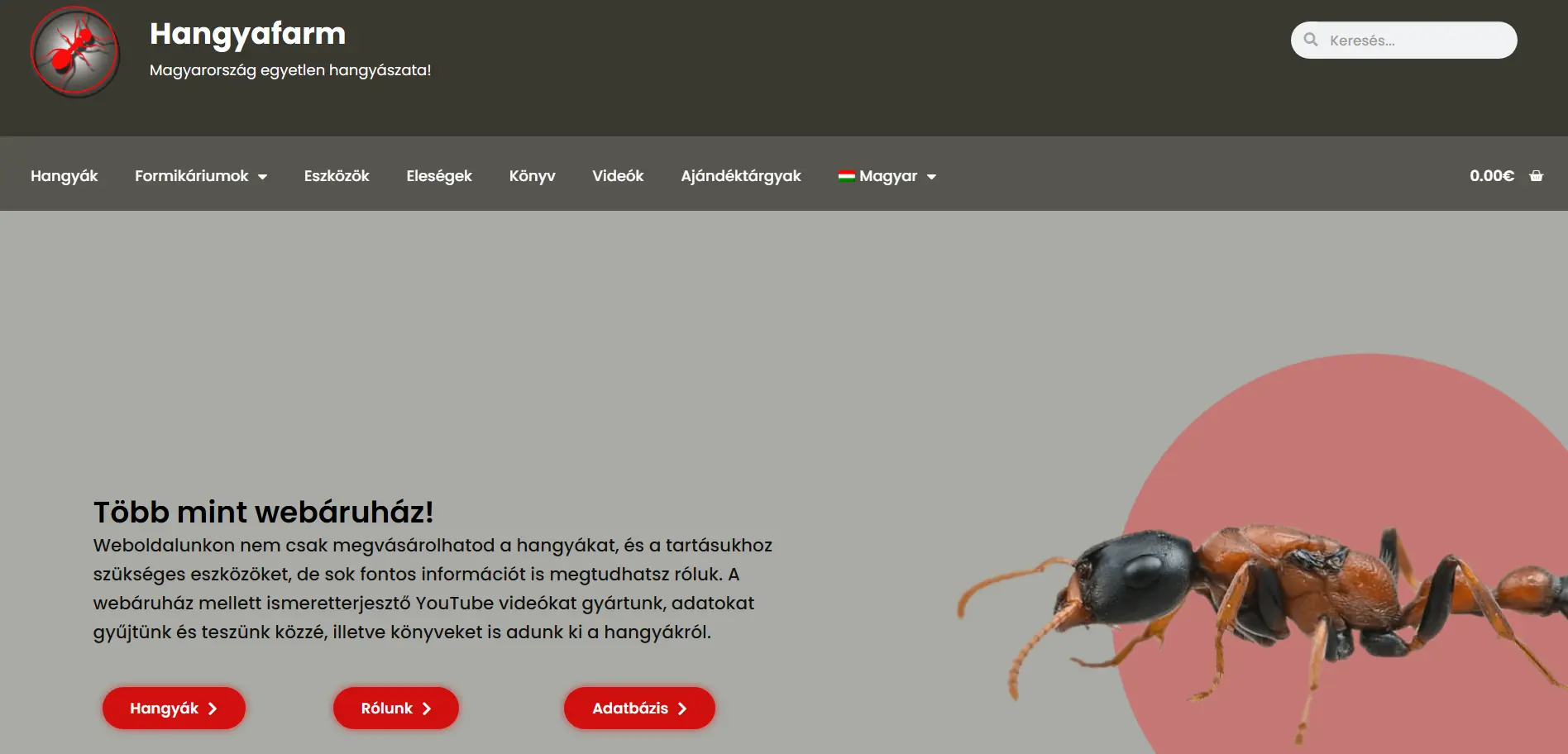 Antsite.eu — Teljes weboldal-újjáépítés